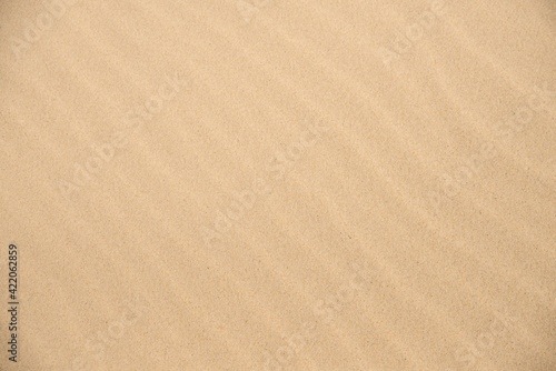 dune sand background or texture, backdrop