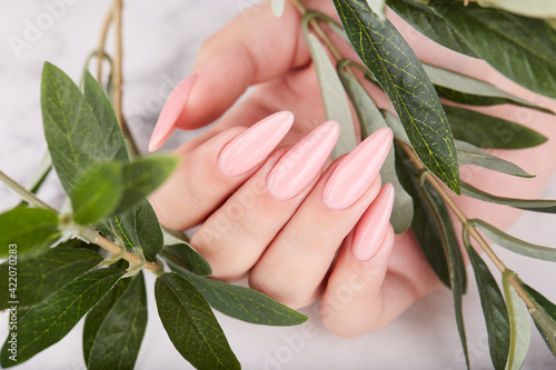 Valokuva Hand with long artificial manicured nails colored with pink nail polish