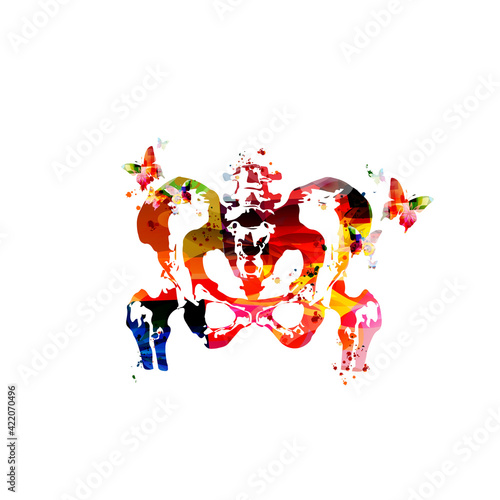 Anatomical human pelvis poster. Healthcare, medical checkup and diagnostic vector illustration. Human skeleton pelvic hip with ligaments isolated, medical background