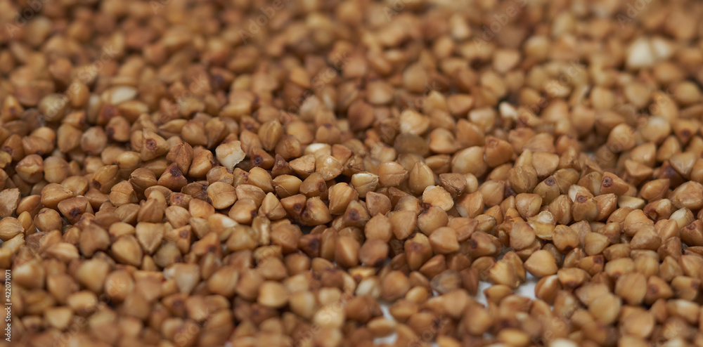 Fototapeta premium buckwheat groats as background texture for artists