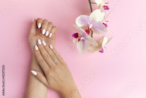 subtle fingers of a beautiful young woman's hands with white nails on a pink background with orchid flowers. Spa, hand care concept. Banner with copy space. Female hands with manicure and gel polish