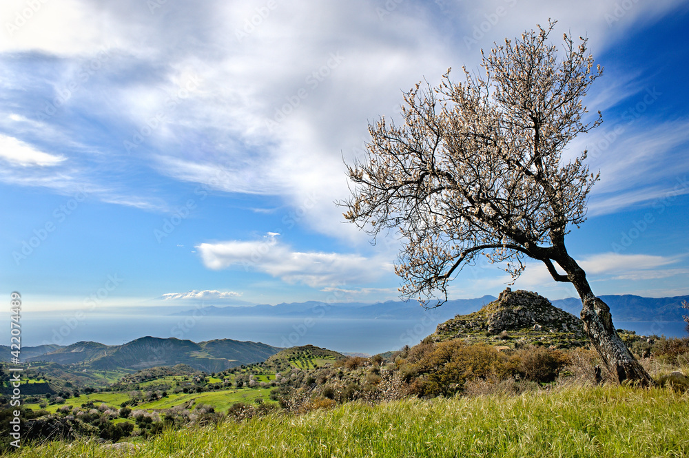 View of the Strait of Messina, Motta San Giovanni district of Reggio Calabria, Calabria, Italy, Europe View of the Strait of Messina, Motta San Giovanni district of Reggio Calabria, Calabria, Italy, Europe