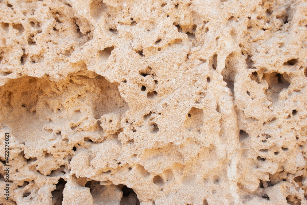 The porous surface of an ancient wall The porous surface of an ancient wall