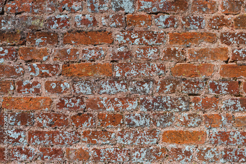 Old Brick Wall, castle wall in England, Europe