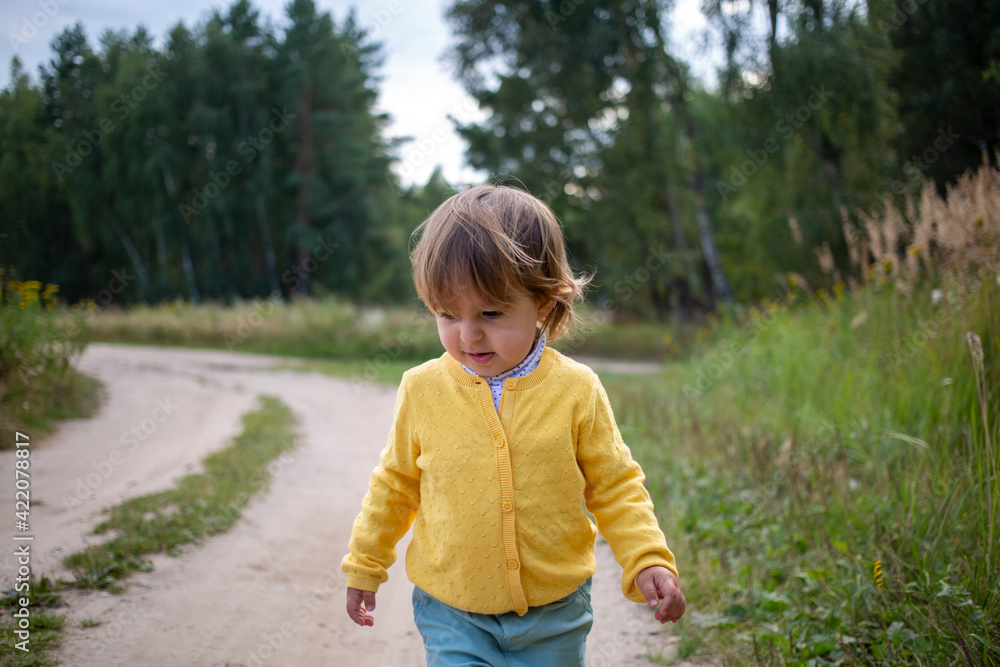 little adorable toddler walking on country road in the summer field. children vacation on countryside little adorable toddler walking on country road in the summer field. children vacation on countryside