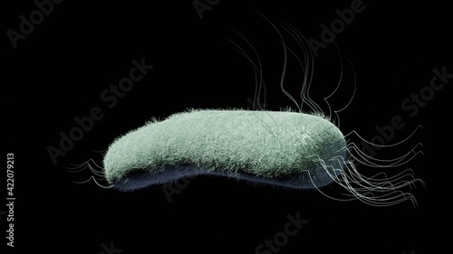 One E-Coli bacteria isolated on a black background. 3D render illustration