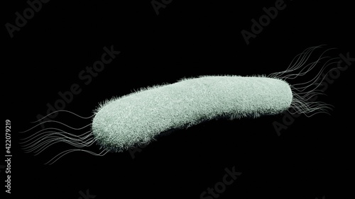 One E-Coli bacteria isolated on a black background. 3D render illustration