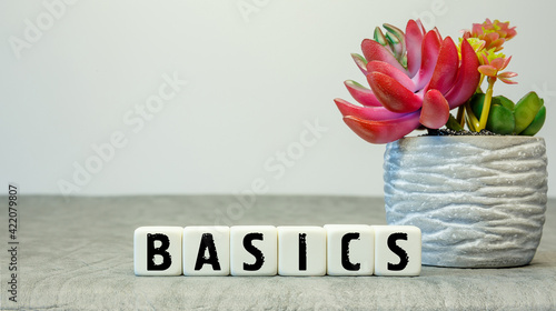 Soft cubes with the abbreviation BASICS with a flower