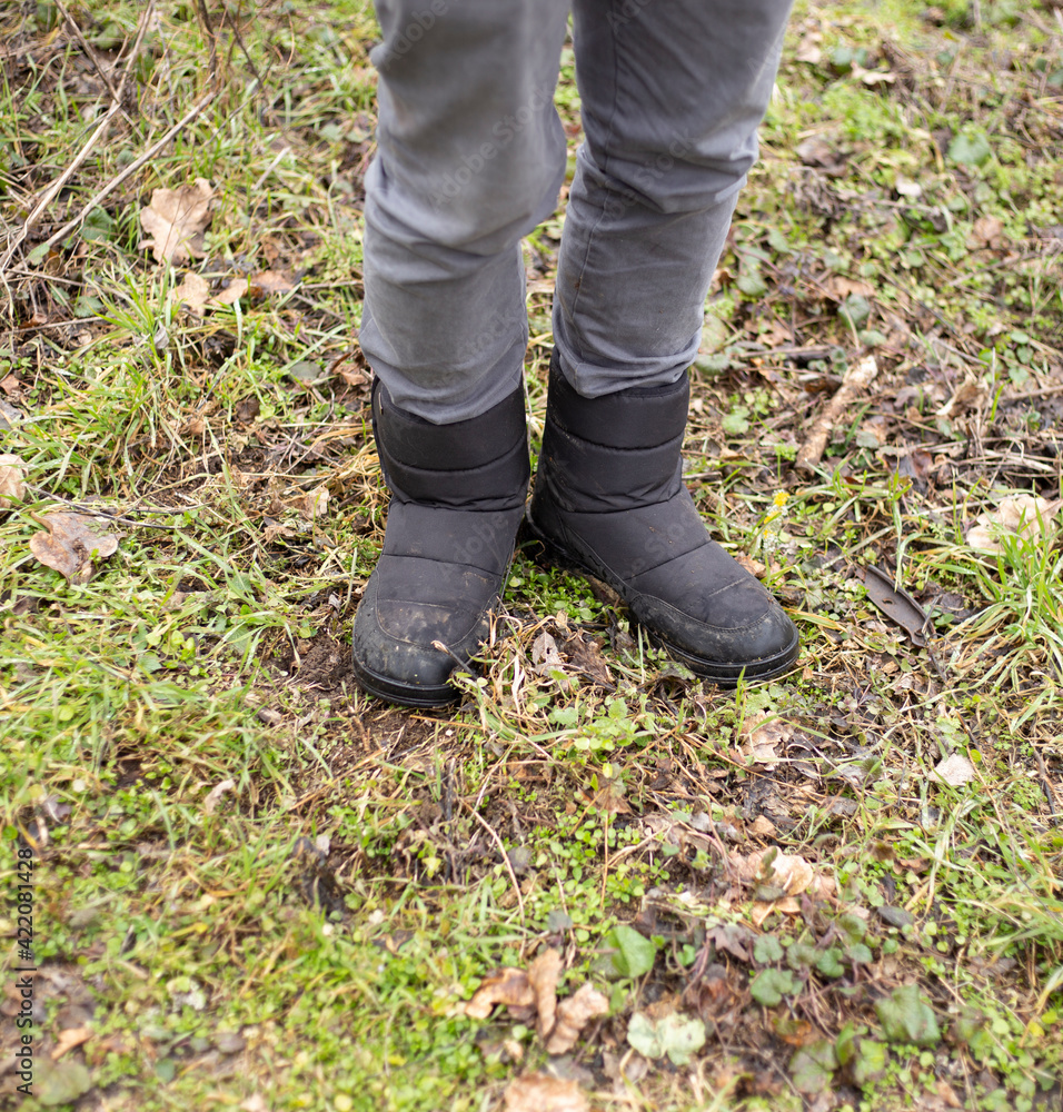 walking in the woods walking in the woods
