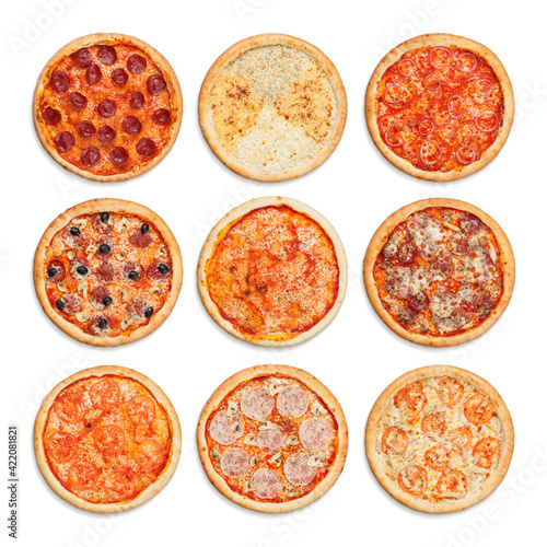 Set of nine different pizzas
