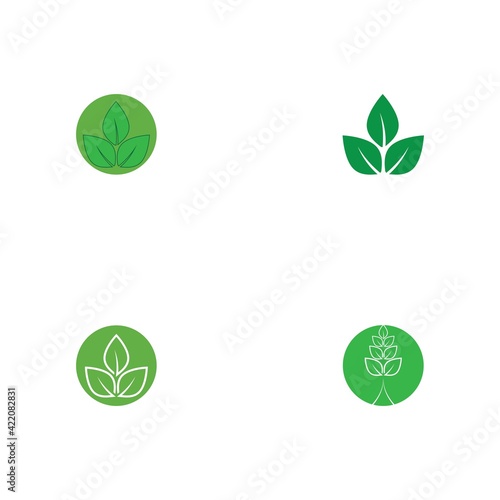 Logos of green Tree leaf ecology