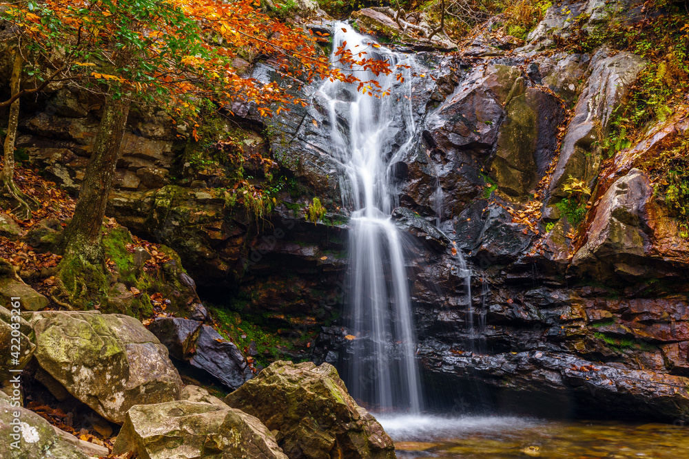Obraz premium Peavine Falls Long Exposure