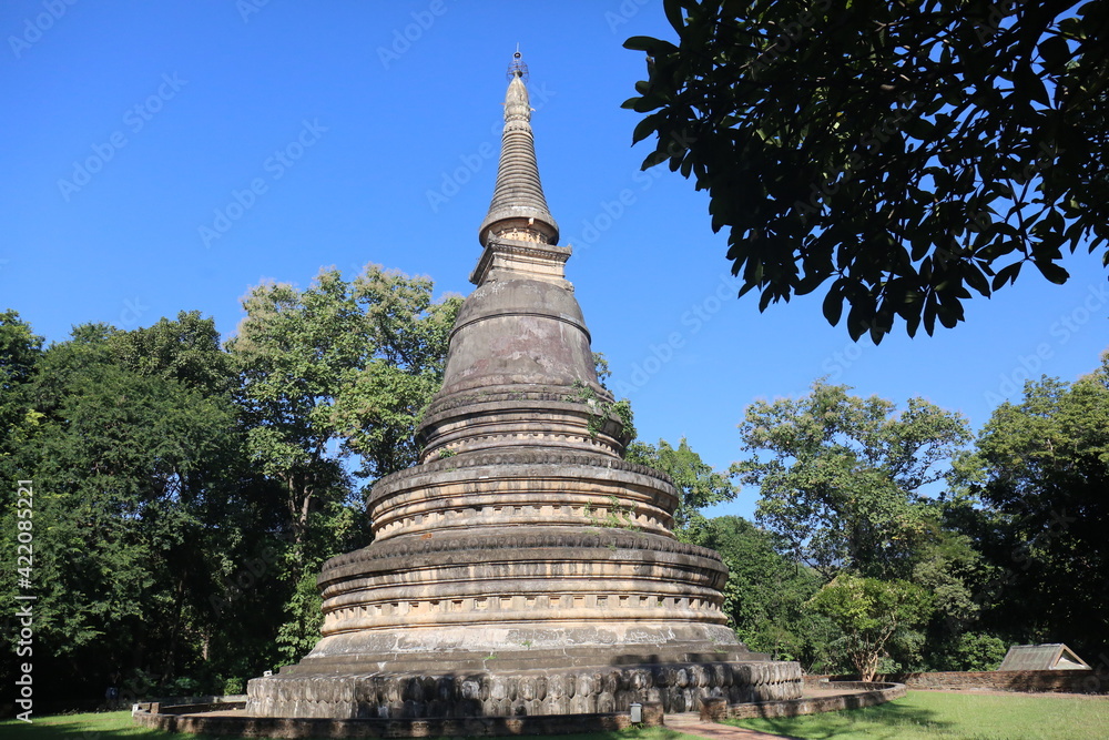 The Antique pandora of north Thailand