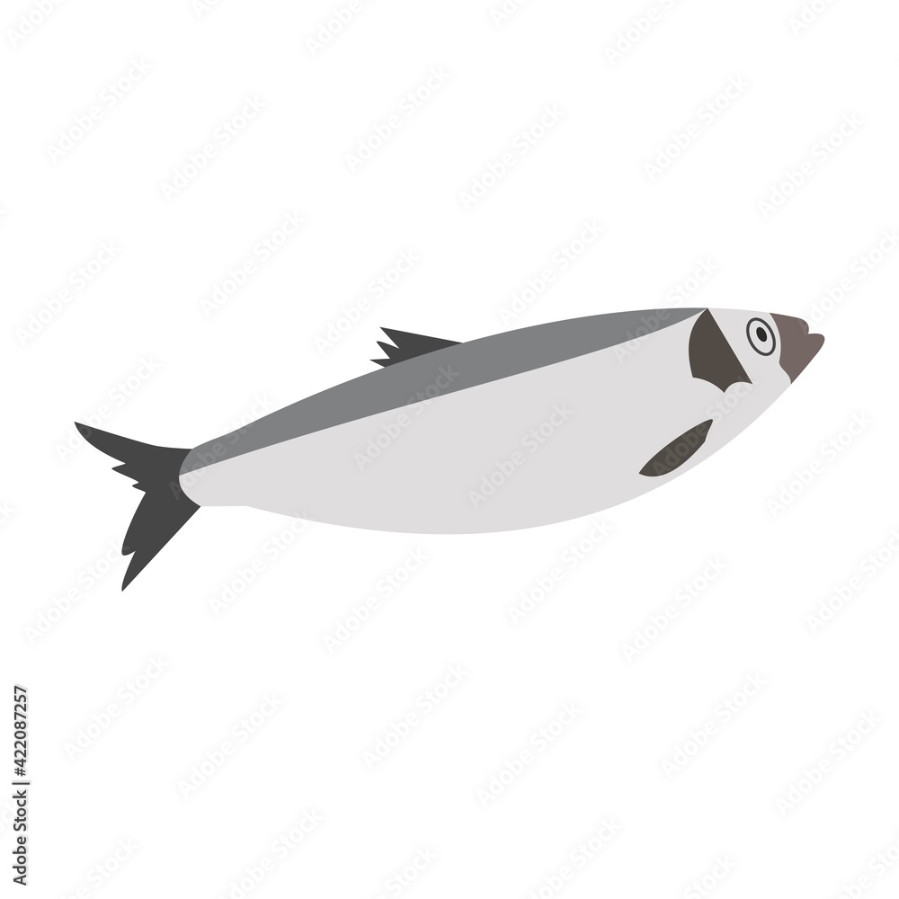 Obraz premium Fish sea herring. Hand-drawn vector, flat style. Animals of the ocean, nature, atlantic. Healthy, wholesome food, source of vitamin D. For recipes, menus, restaurants, cafes, textbooks, illustrations.