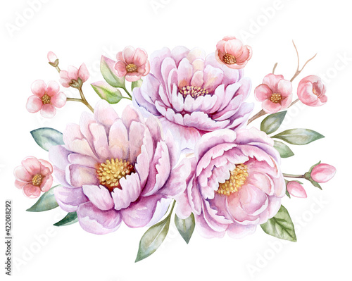 Peonies. Pink flowers isolated on white background. Watercolor. Bouquet of pink flowers. Template for frames  decorative ornaments. Clipart. Greeting card design. Emblems. Poster. Postcard. Wedding. 