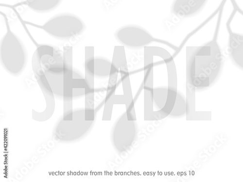 Shadow from branches with leaves. Transparent overlay template with silhouette of leaves. Created with the Blend tool. Vector design