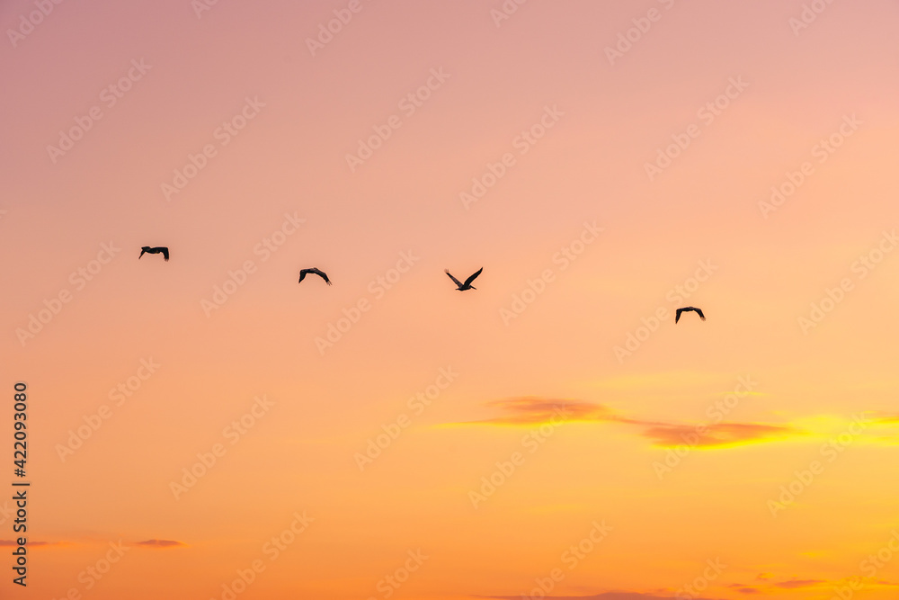 Fototapeta premium Sunset over the Edisto River, Seabrook Island SC