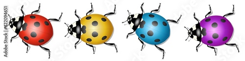 Bannière avec quatre coccinelles de différentes couleurs sur fond blanc