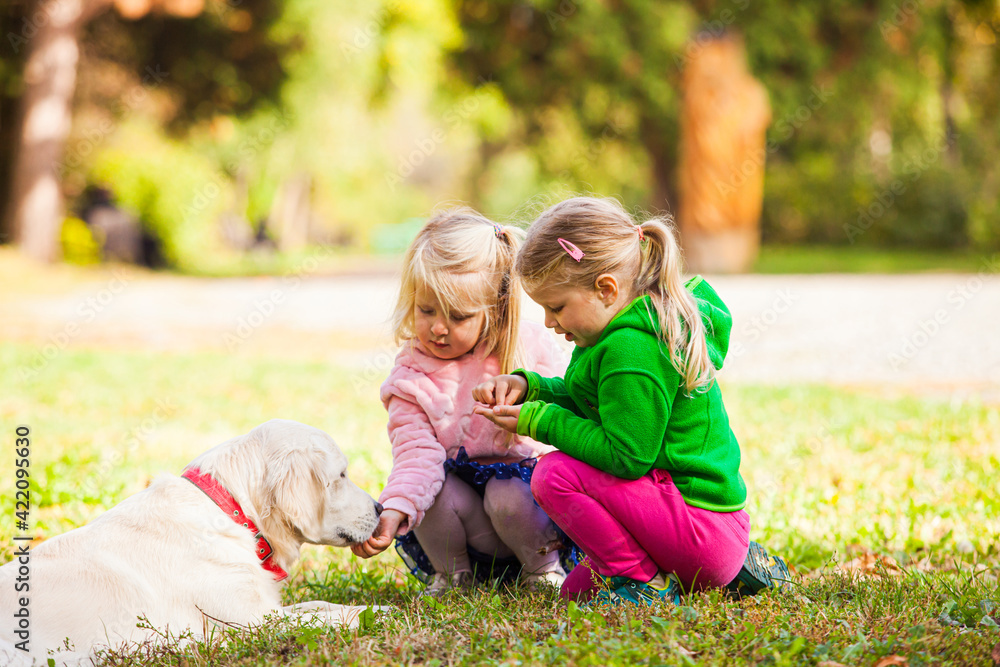 Fototapeta premium two little girls worry about their favorite dog