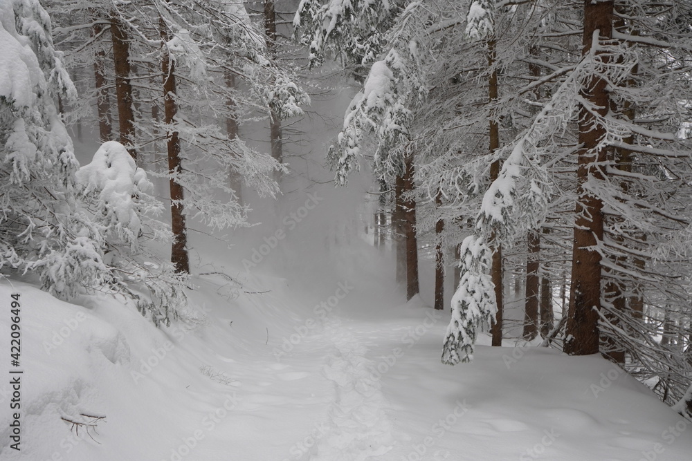 Fototapeta premium Schneeschuhwanderung Farrenpoint