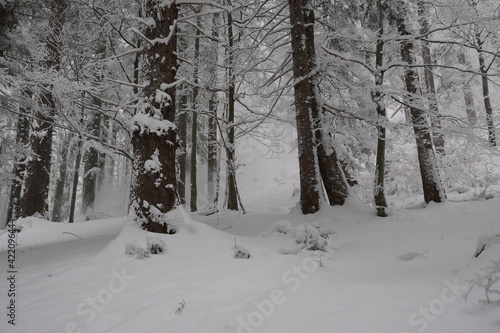 Schneeschuhwanderung Farrenpoint © Stephan