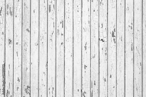 Photography Pale gray white wood planks texture or background