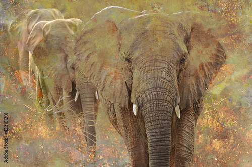 Vanishing Herd of Elephants