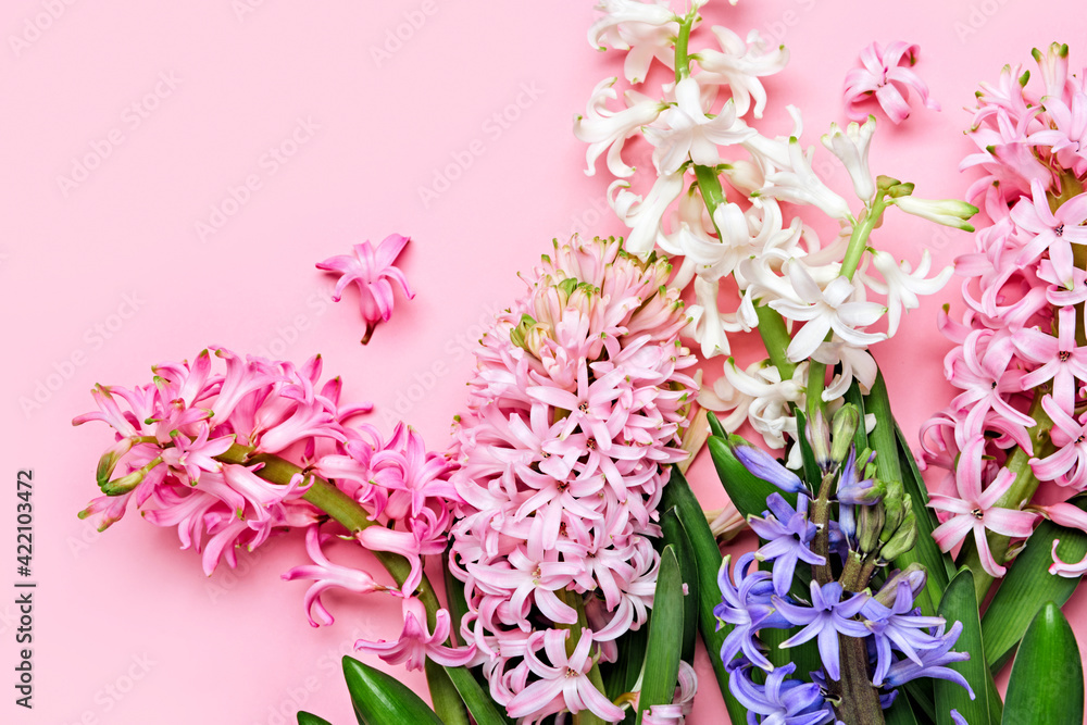 Flowers festive composition. Pink Spring or Easter Floral Background. Beautiful hyacinths flowers, Hello spring concept Flowers festive composition. Pink Spring or Easter Floral Background. Beautiful hyacinths flowers, Hello spring concept