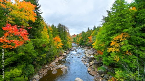 Point of view pov walking on bridge above flowing water at Blackwater creek river in Davis, West Virginia by state park with colorful autumn fall maple tree foliage at Canaan valley