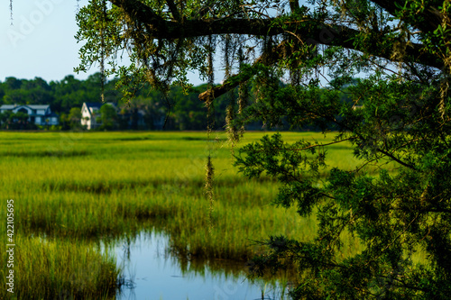 Seabrook Jenkin's Point Marsh View photo