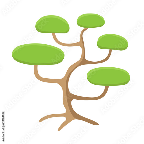 Pine nivaki, vector drawing. Bonsai garden, green tree for creating landscaping. photo