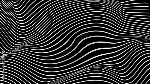 Black and white curve wave line abstract background. © Koy