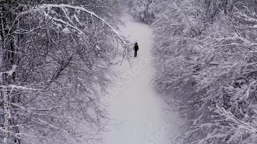 Wallpaper Mural Aerial shot of the beech forest of Monte Soro on the Nebrodi Mountains in Sicily. Walk with snowshoes in the icy paths of the Nebrodi mountains. Frill trees. Sicily in winter. Torontodigital.ca