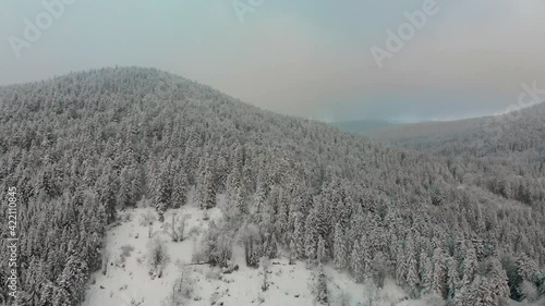 Aerial shot by drone forest in snowy winter. Auvergne, France