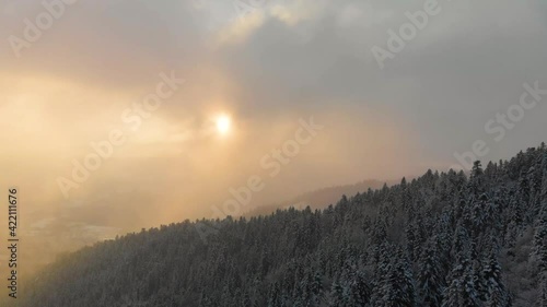 Aerial shot by drone over snowy forest in golden light at sunset with fog. Magical atmosphere in Auvergne, France.