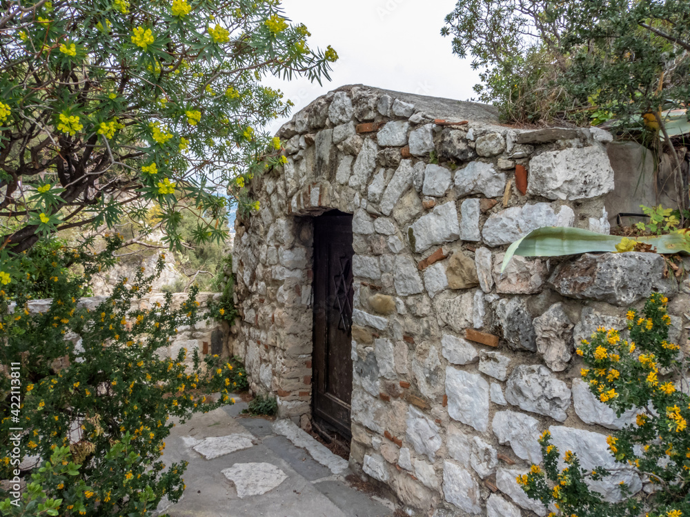 Fototapeta premium Vestiges du château sur la colline de Nice avec des fleurs jaunes