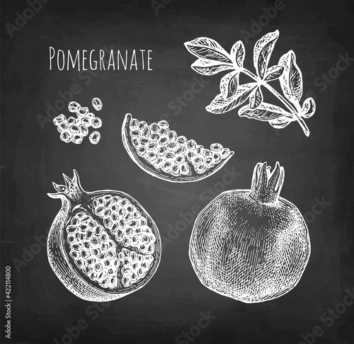 Pomegranate chalk sketch.