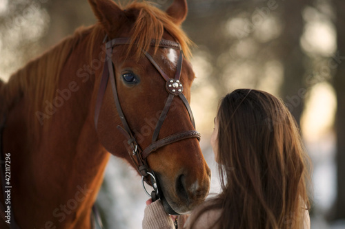Close side portrait of young woman and brown horse. Woman with long hear looking close at horse eyes