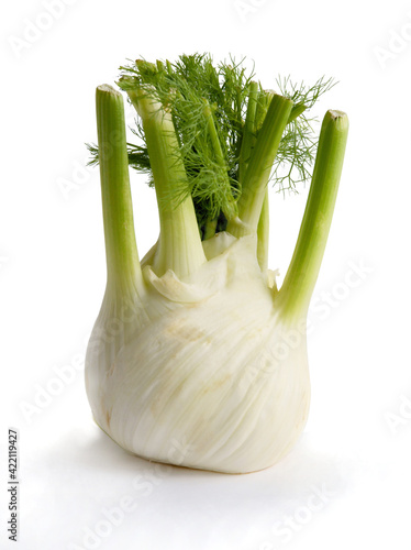 green fresh fennel as product for tasty salad