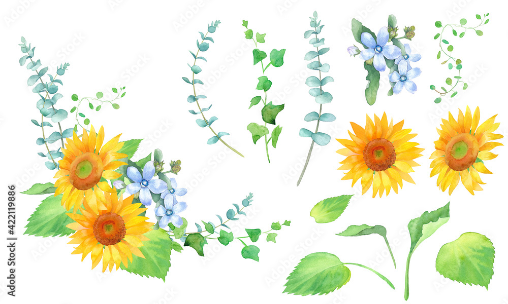 ひまわりとオキシペタラムのフレーム装飾 水彩イラストのエレメントセット Stock Illustration Adobe Stock ひまわりとオキシペタラムのフレーム装飾 水彩イラストのエレメントセット Stock Illustration Adobe Stock