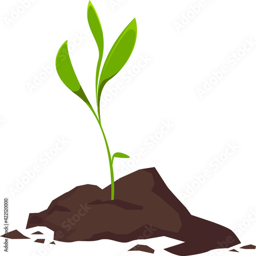 The land from which the plant grows. The concept of gardening and growth. Vector illustration in cartoon style.