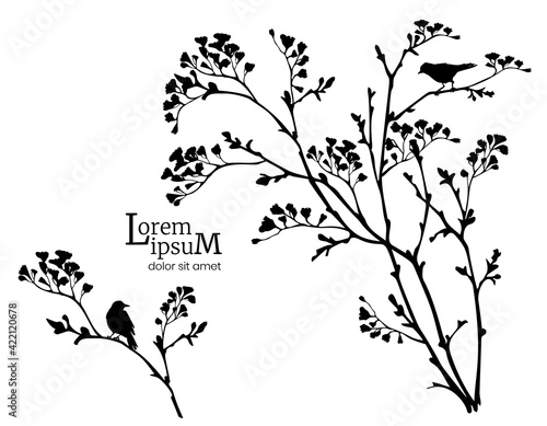 Black silhouette of spring flowering branches and birds.
