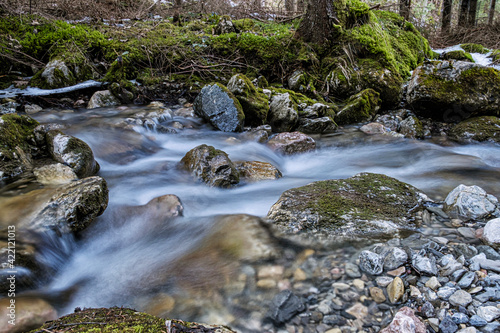 Water stream  Ilanovska valley  Low Tatras  Slovakia