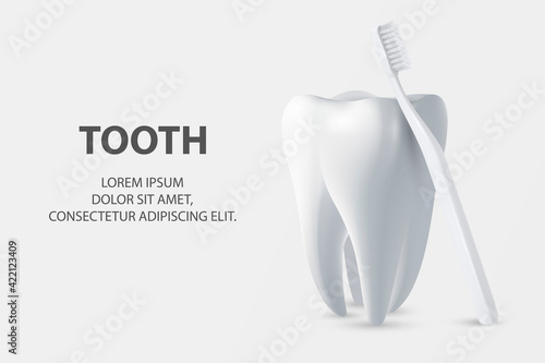 Vector 3d Realistic Toothbrush and Tooth Closeup Isolated on White Background. Medical Dentist Illustration. Design Template, Clipart, Mockup. Dental Health Concept