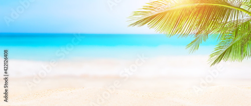 Panorama of summer beach and blurred blue sky with leaves of coconut palm tree.