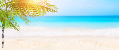 Panorama of summer beach and blurred blue sky with leaves of coconut palm tree.