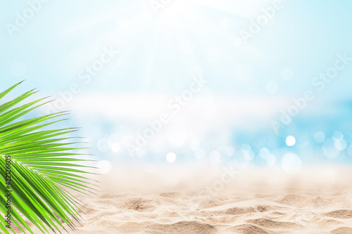 Coconut palm leaf against blue sky and beautiful beach in Punta Cana, Dominican Republic.