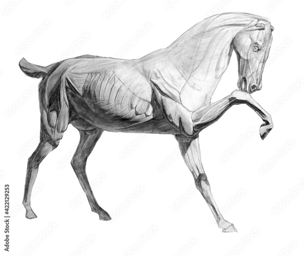 Fototapeta premium The whole horse's ecorshe. side view. academic pencil drawing. An old drawing.
