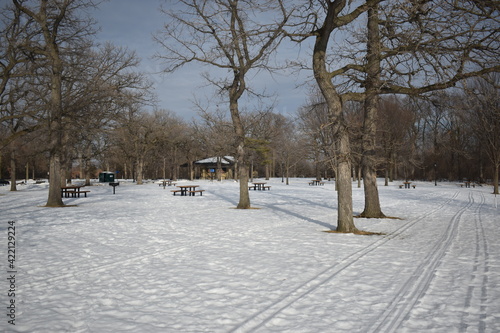 Como Park in the Winter Time 