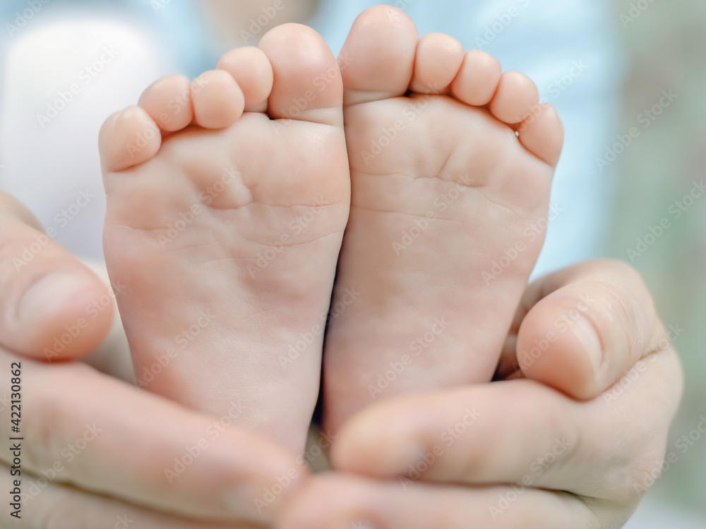 parents hold baby's small feet, concept of caring for family love and happiness parents hold baby's small feet, concept of caring for family love and happiness
